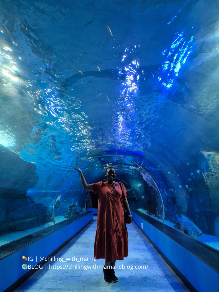 aquarium