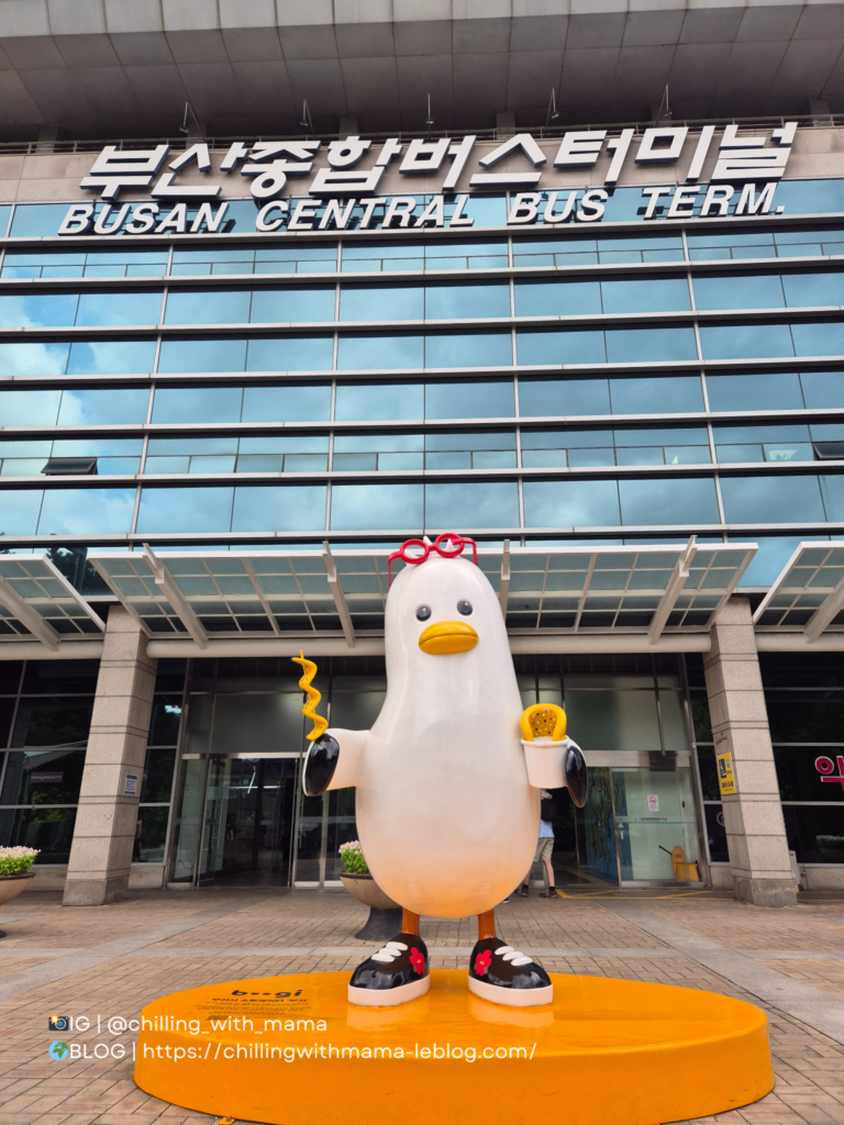 busan welcome